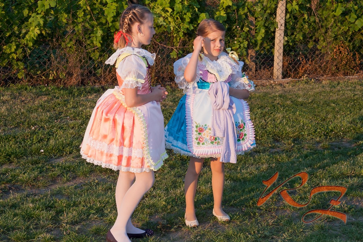 Vrbecká dědina